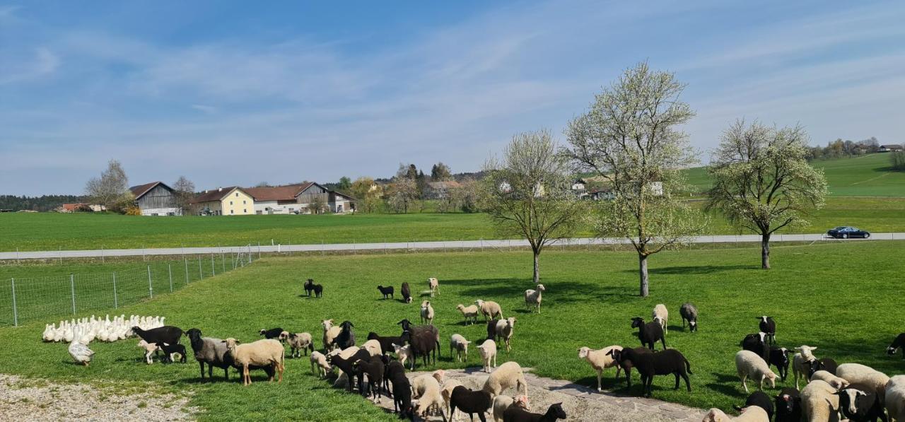 Landgasthof Entenwirt Tarsdorf Zewnętrze zdjęcie